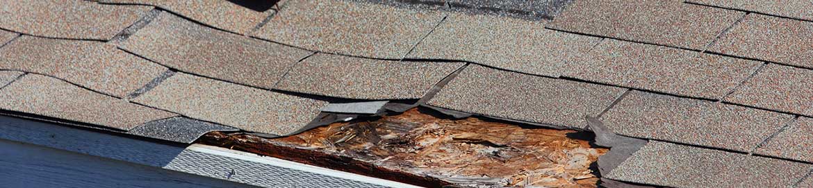 Etobicoke Roofing