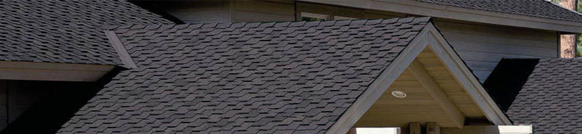 Etobicoke Roofing
